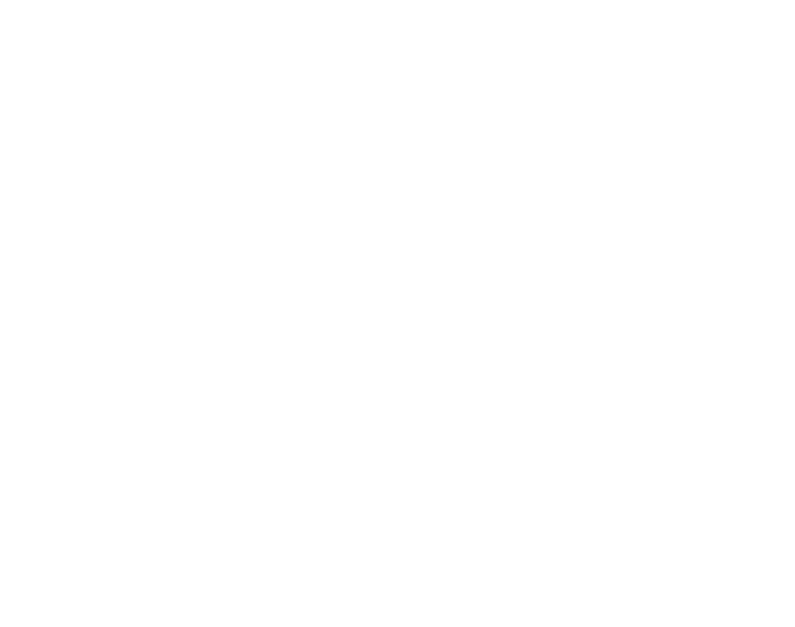 El Feriante logo